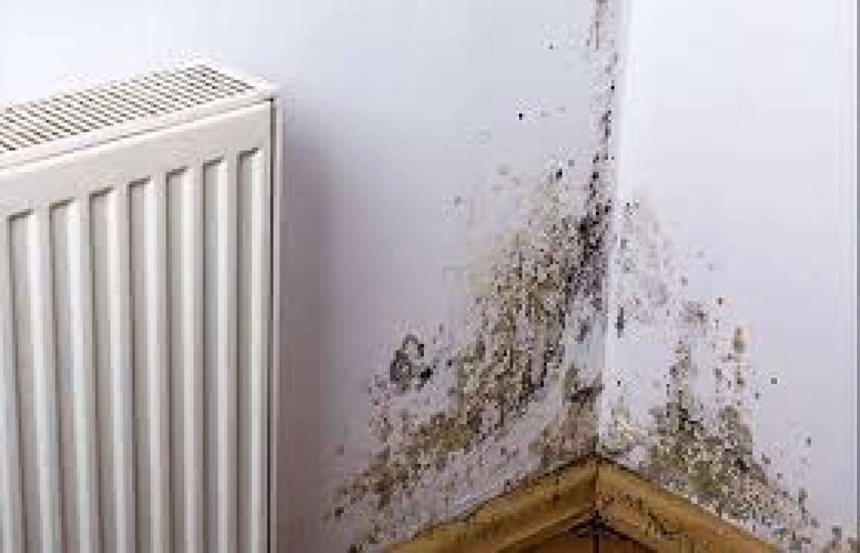 Social housing landlords